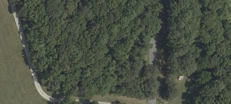 Milton, DE 19968
