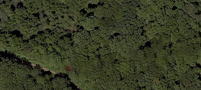 Selbyville, DE 19975