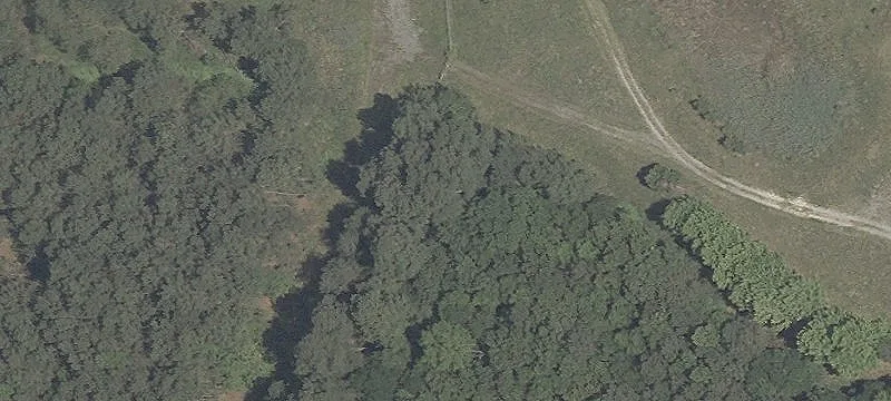 25876 Dupont Rd