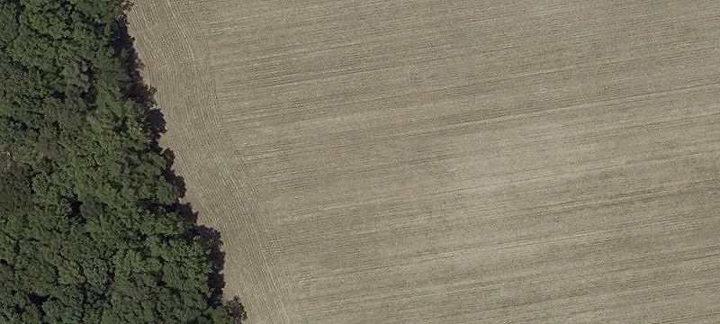 32888 Vines Crk Rd