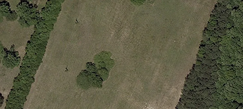 Selbyville, DE 19975