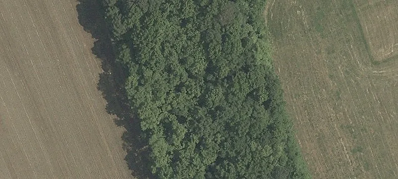 Greenwood, DE 19950
