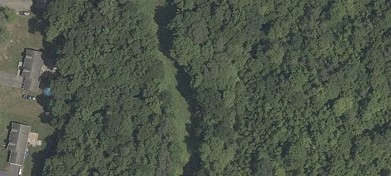 Ellendale, DE 19941