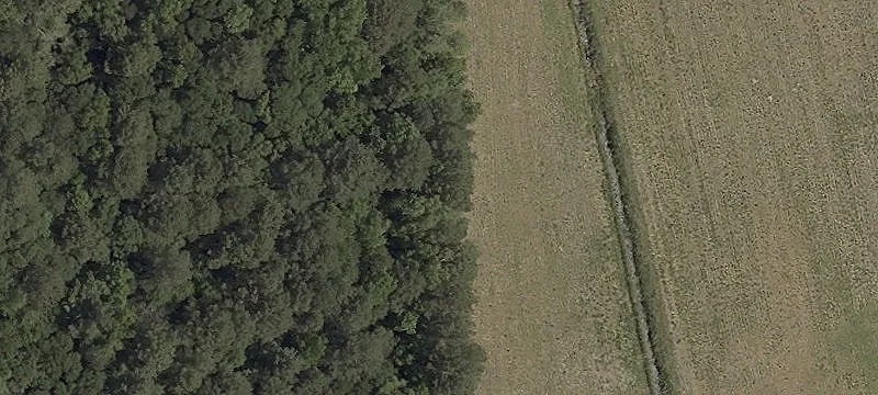 Millsboro, DE 19966