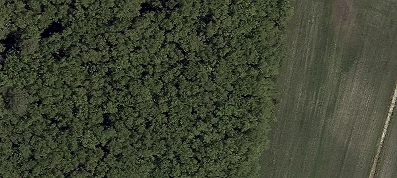 Selbyville, DE 19975