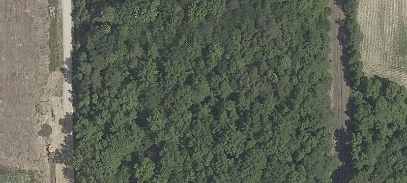 Ellendale, DE 19941