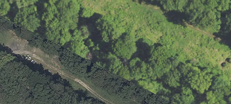 Ofc Hickman Rd Rd