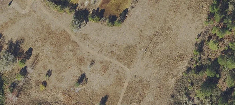 18131 Hwy 19