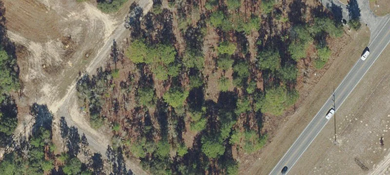 5354 Lecanto Hwy