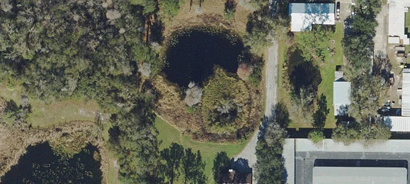 2902 Lutz Lk Fern Rd
