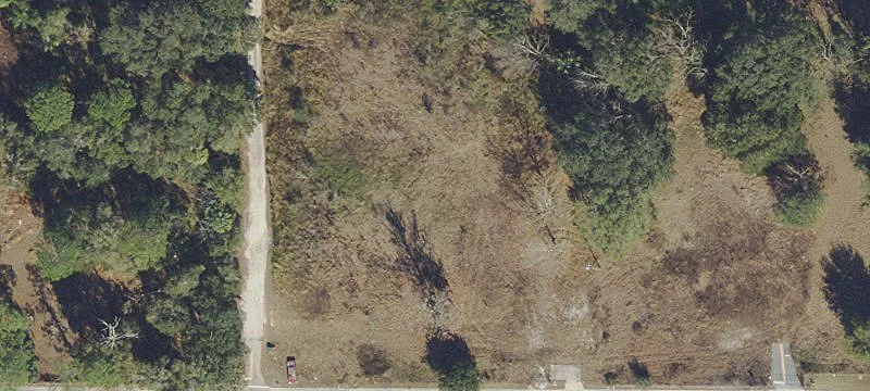 833 County Rd 466a
