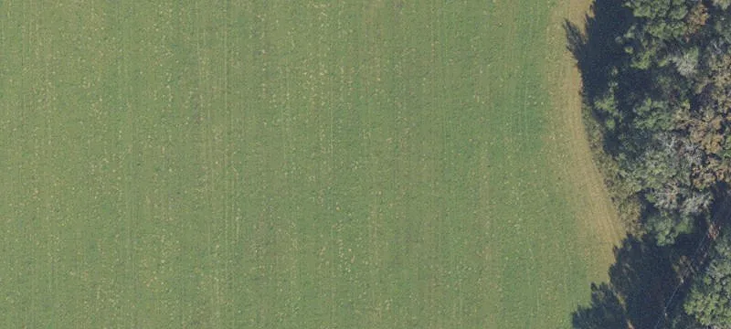 Alachua, FL 32615