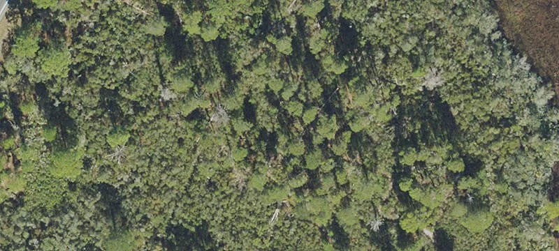 Titusville, FL 32780
