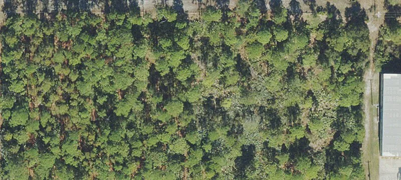Cocoa, FL 32926