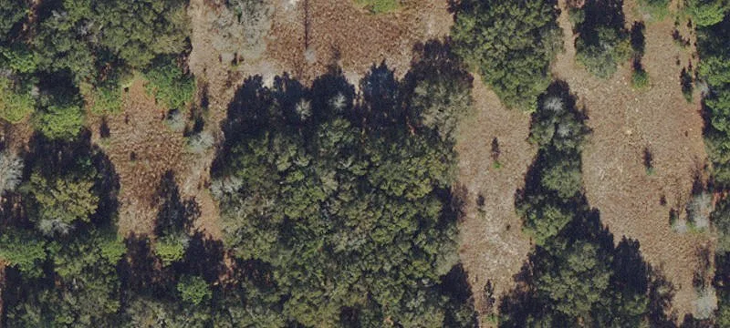 917 Lecanto Hwy