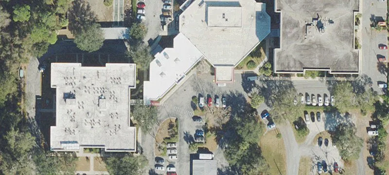 113 Chipola Ave