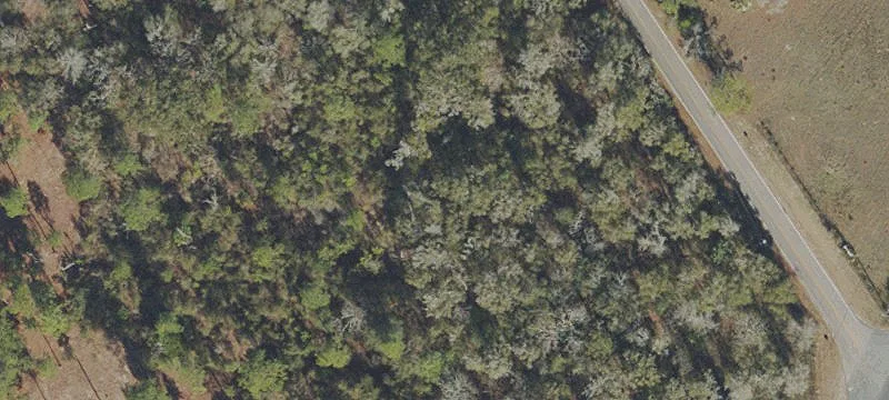 Coastal Hwy