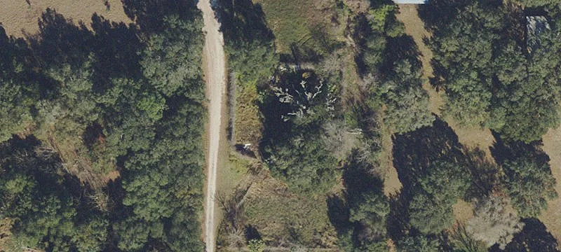 815 County Rd 466a