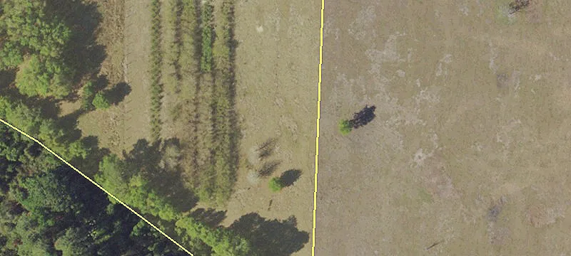 17712 County Rd 33