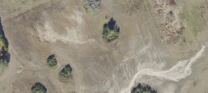 7562 Hwy 318