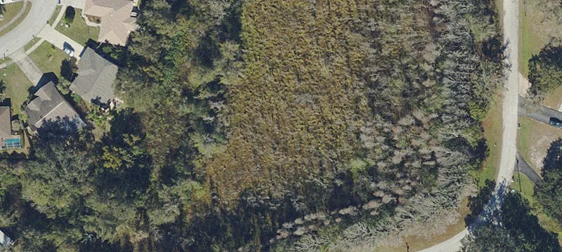 Lutz, FL 33549