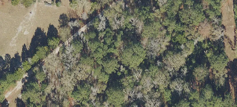 3198 Coy Burgess Loop