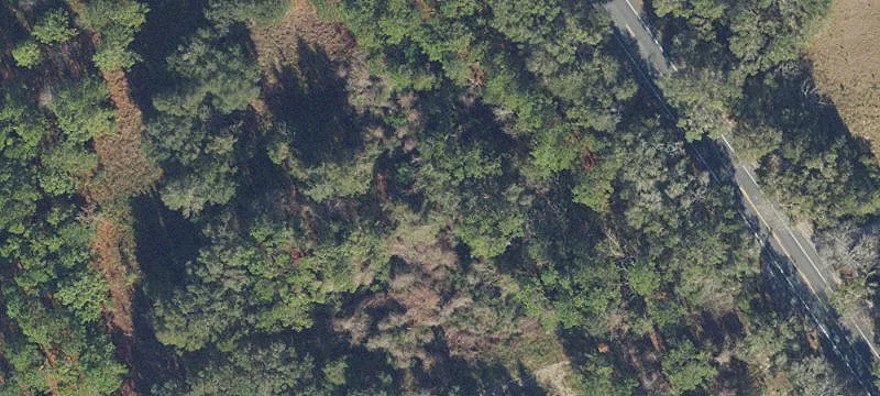 Archer, FL 32618