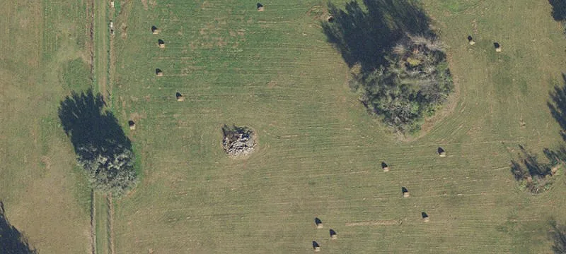 Alachua, FL 32615