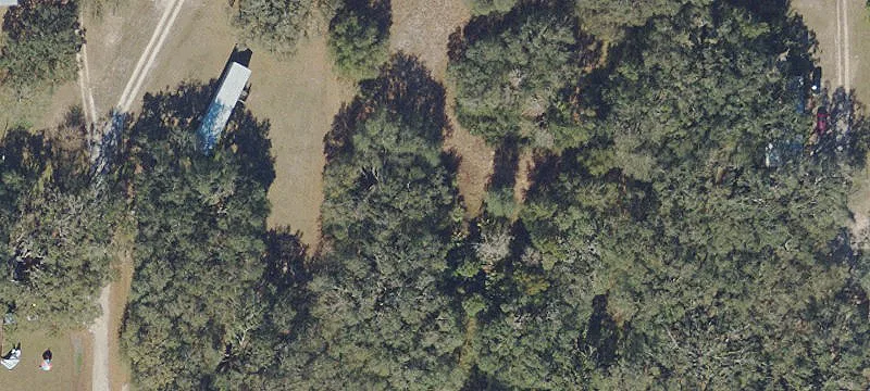 10637 Lithia Pinecrest Rd