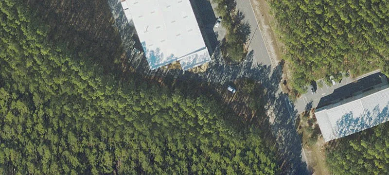 217 Serenoa Rd
