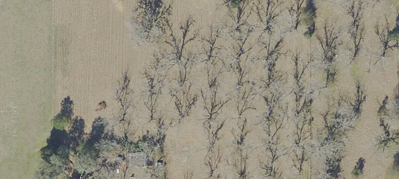 22624 County Rd 1474
