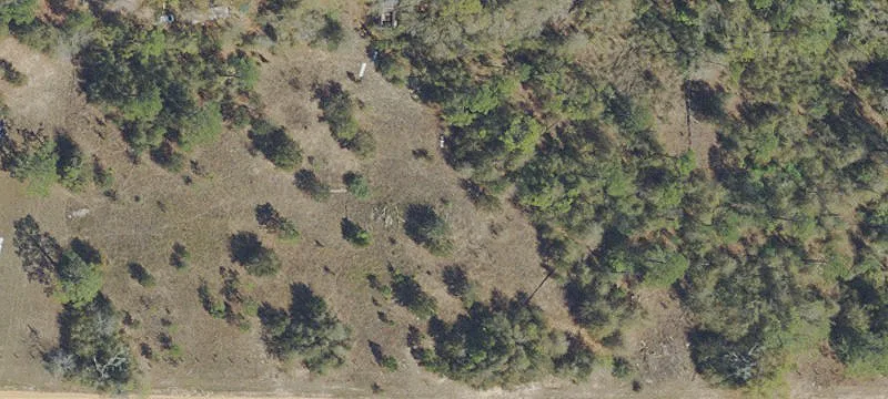 20100 Hwy 231
