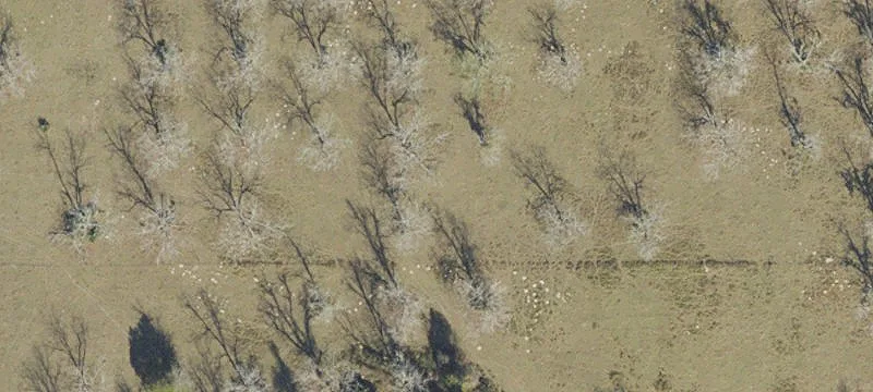 6689 State Road 26