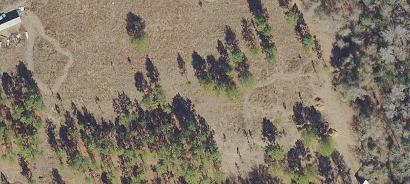 Brooker, FL 32622