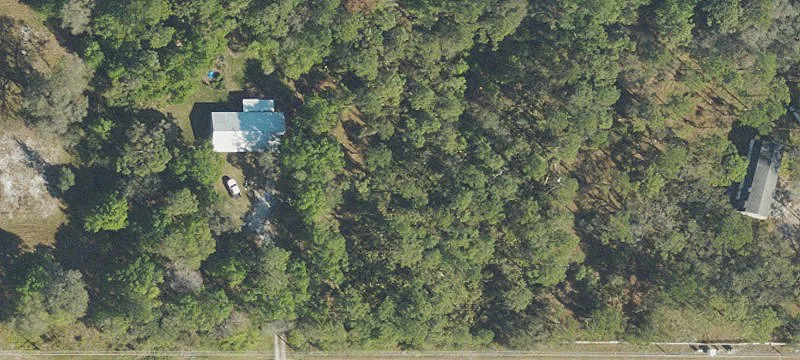 Loblolly Bay Rd