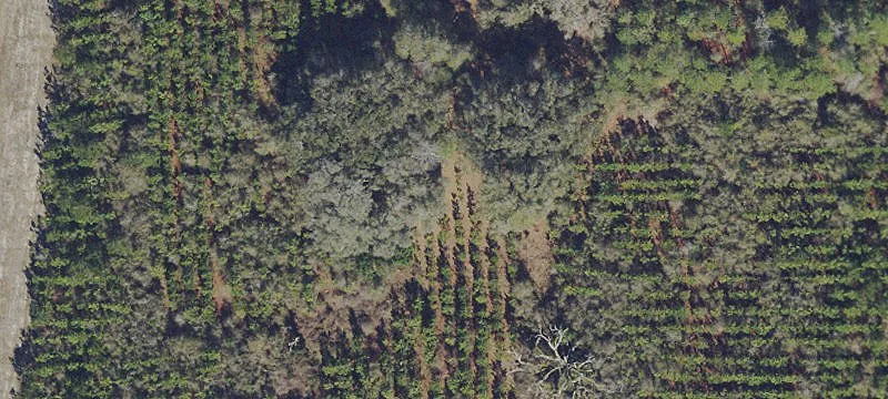Gainesville, FL 32609