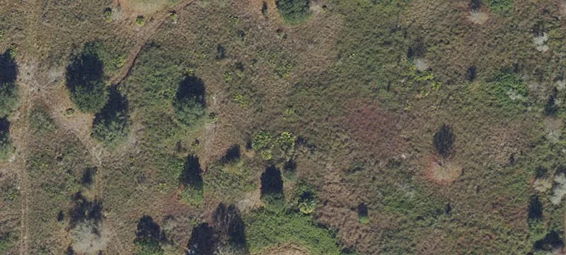 5500 Us Hwy 301