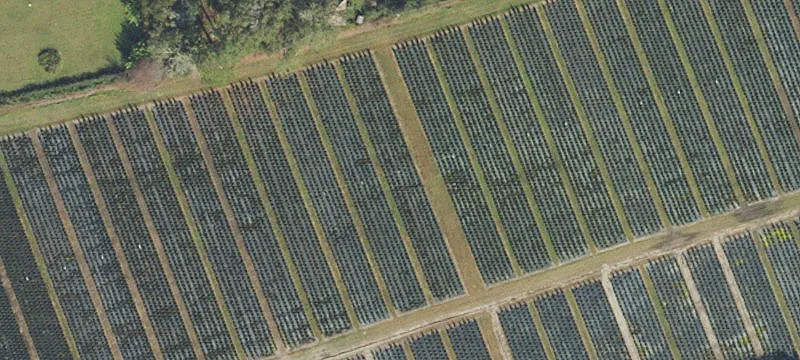 Alachua, FL 32615