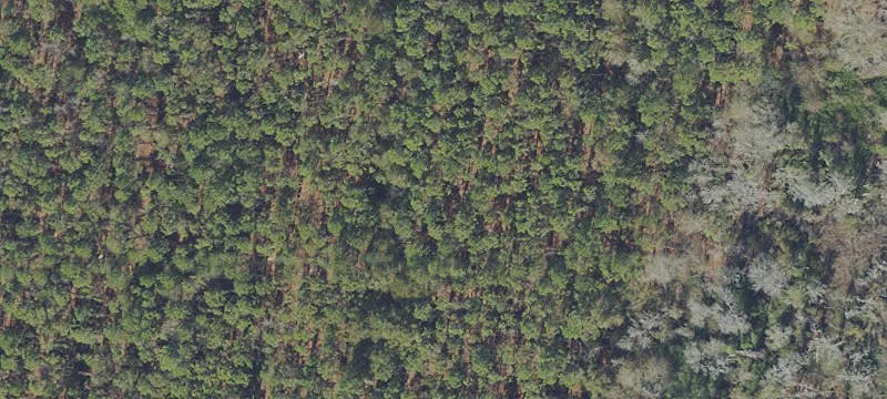 Hawthorne, FL 32640