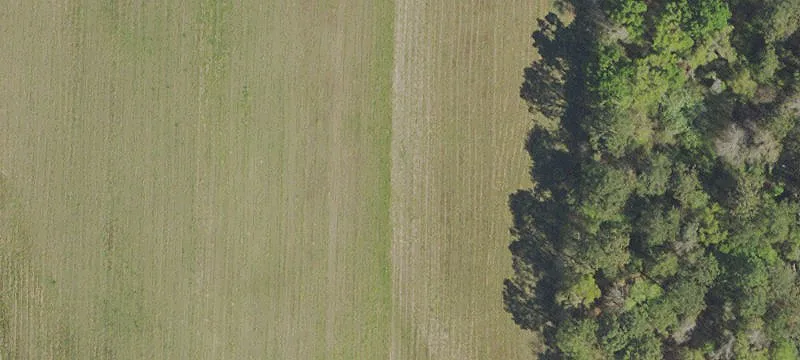 282 Daniel Wilkerson Rd