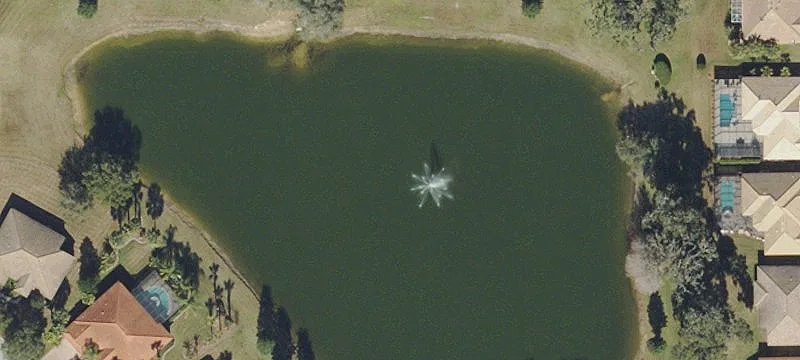 1209 Beagle Run Loop