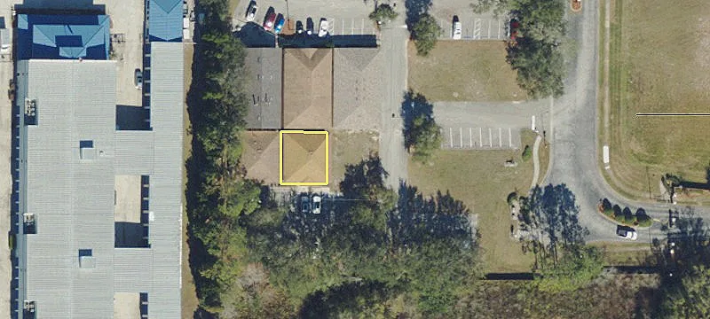 Lutz, FL 33559