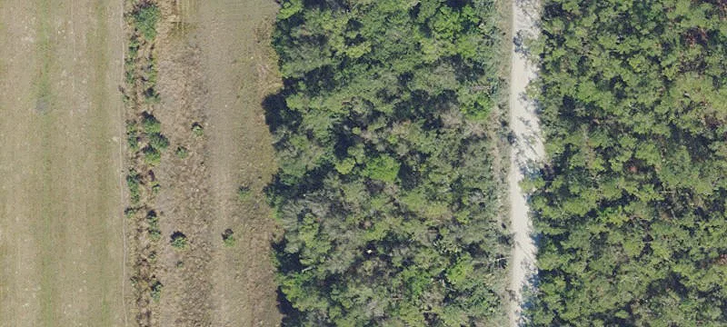 19990 Corkscrew Rd