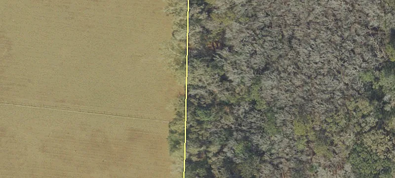 1910 Jefferson S Rd