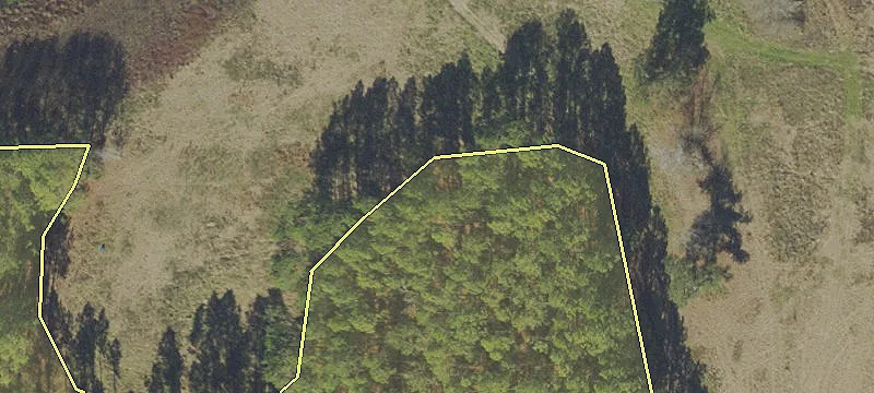 294 Buck Blount Rd