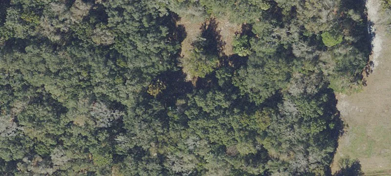 Micanopy, FL 32667