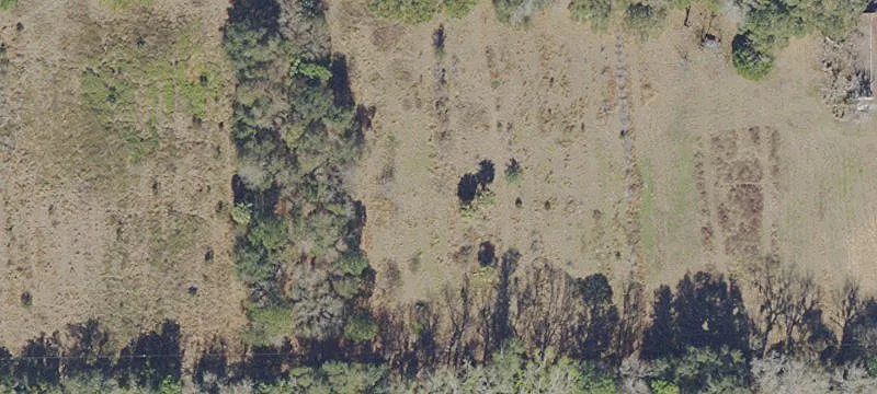 9817 County Rd 1469