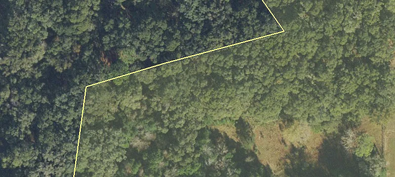 Archer, FL 32618