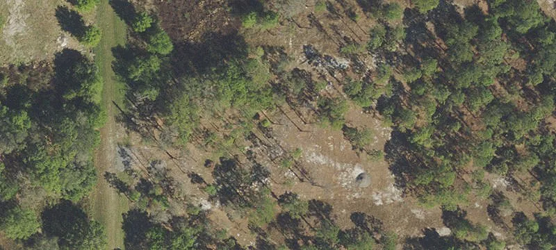 325 Isora St