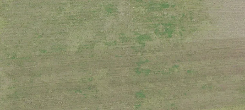 Hawthorne, FL 32640